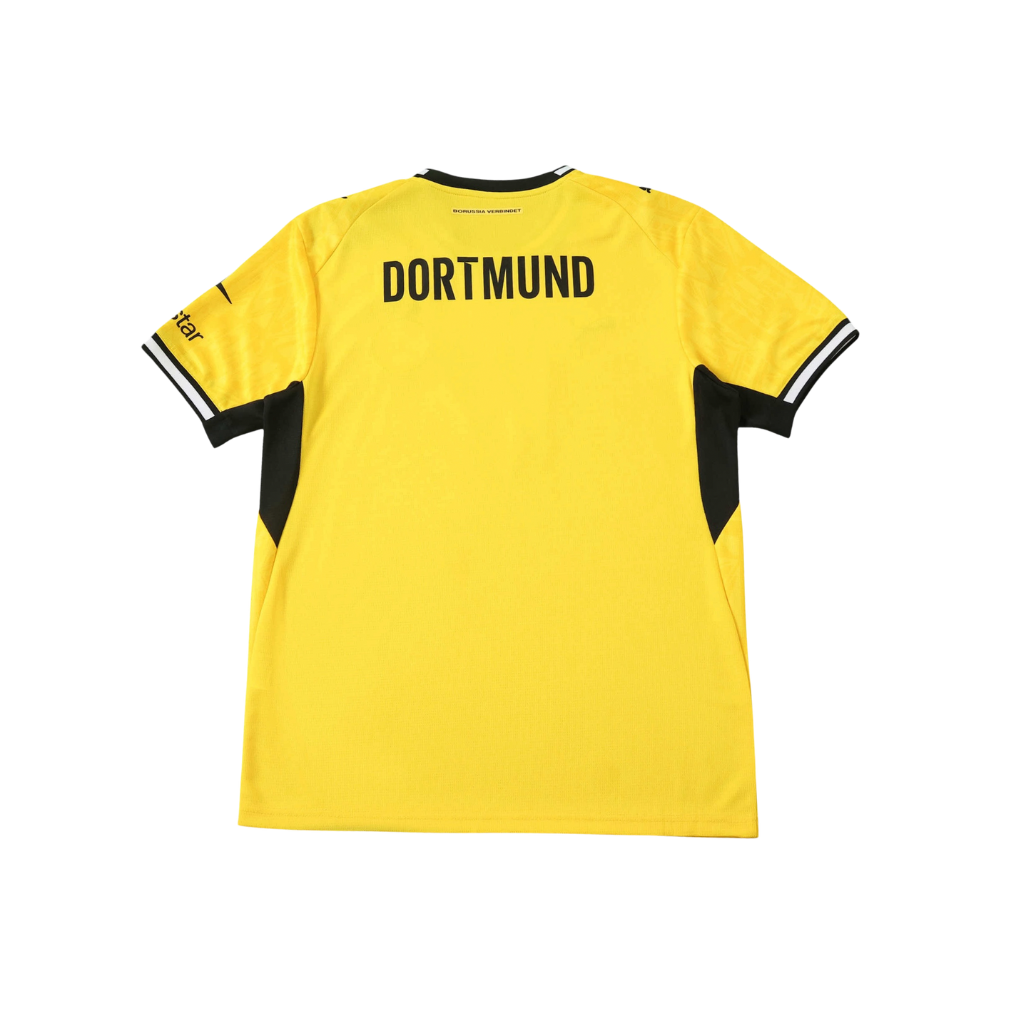 Dortmund 26/27 Fan Version