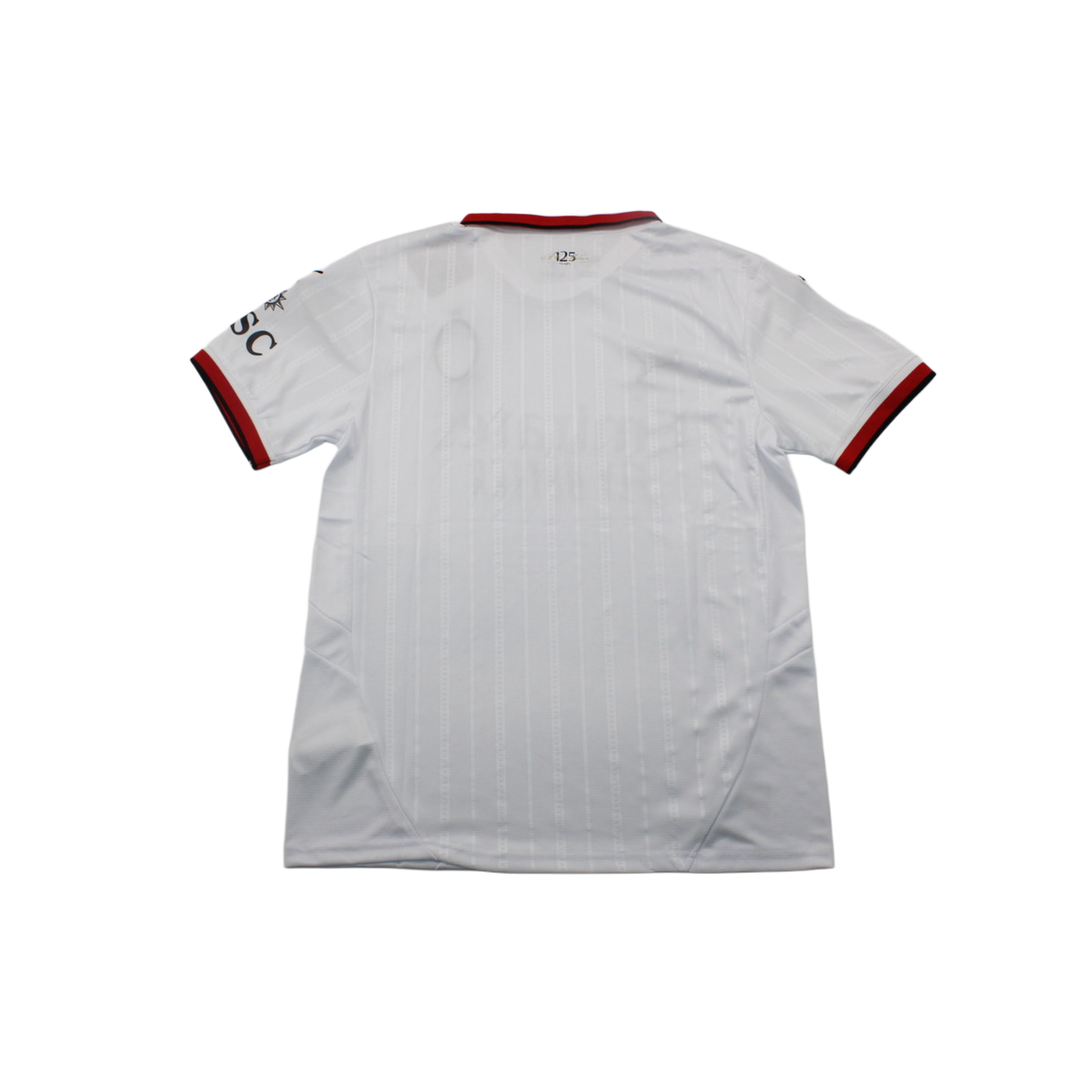 Camiseta AC Milán 24/25