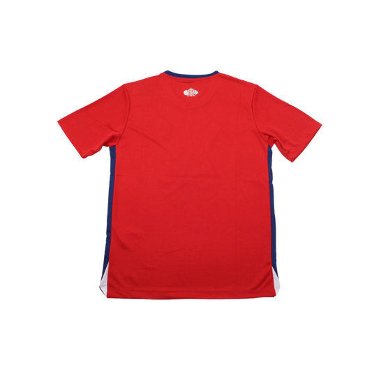 Camiseta Lille 24/25