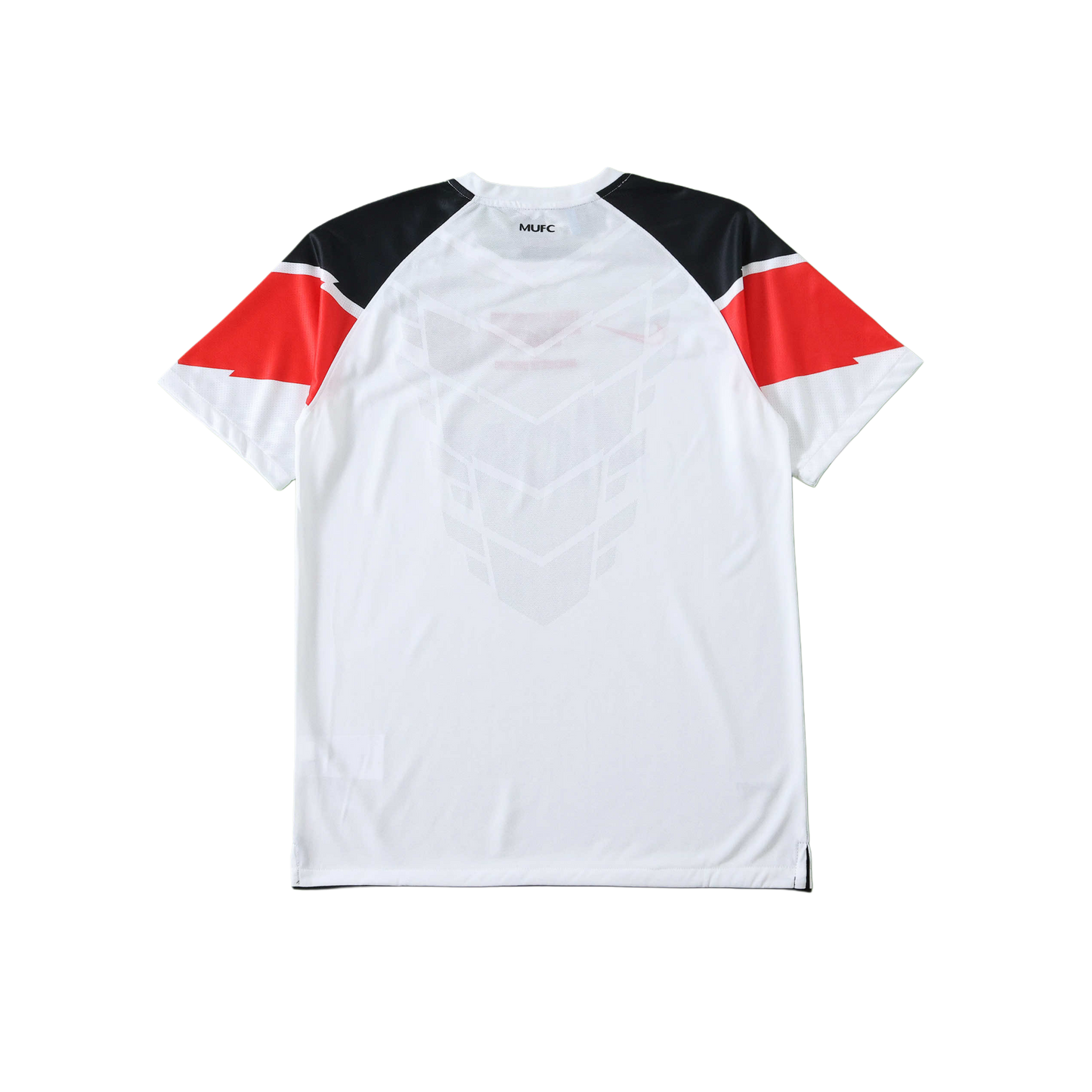 Manchester United 10/11