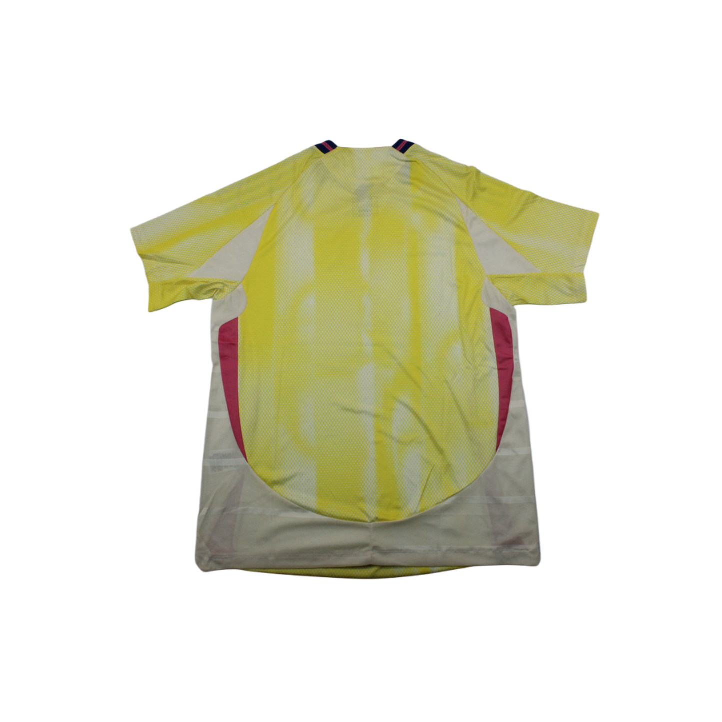 Juventus 24/25 Shirt