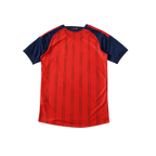 España 2026/2027 Player Version