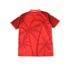 Haiti 2026/2027 Fan Version