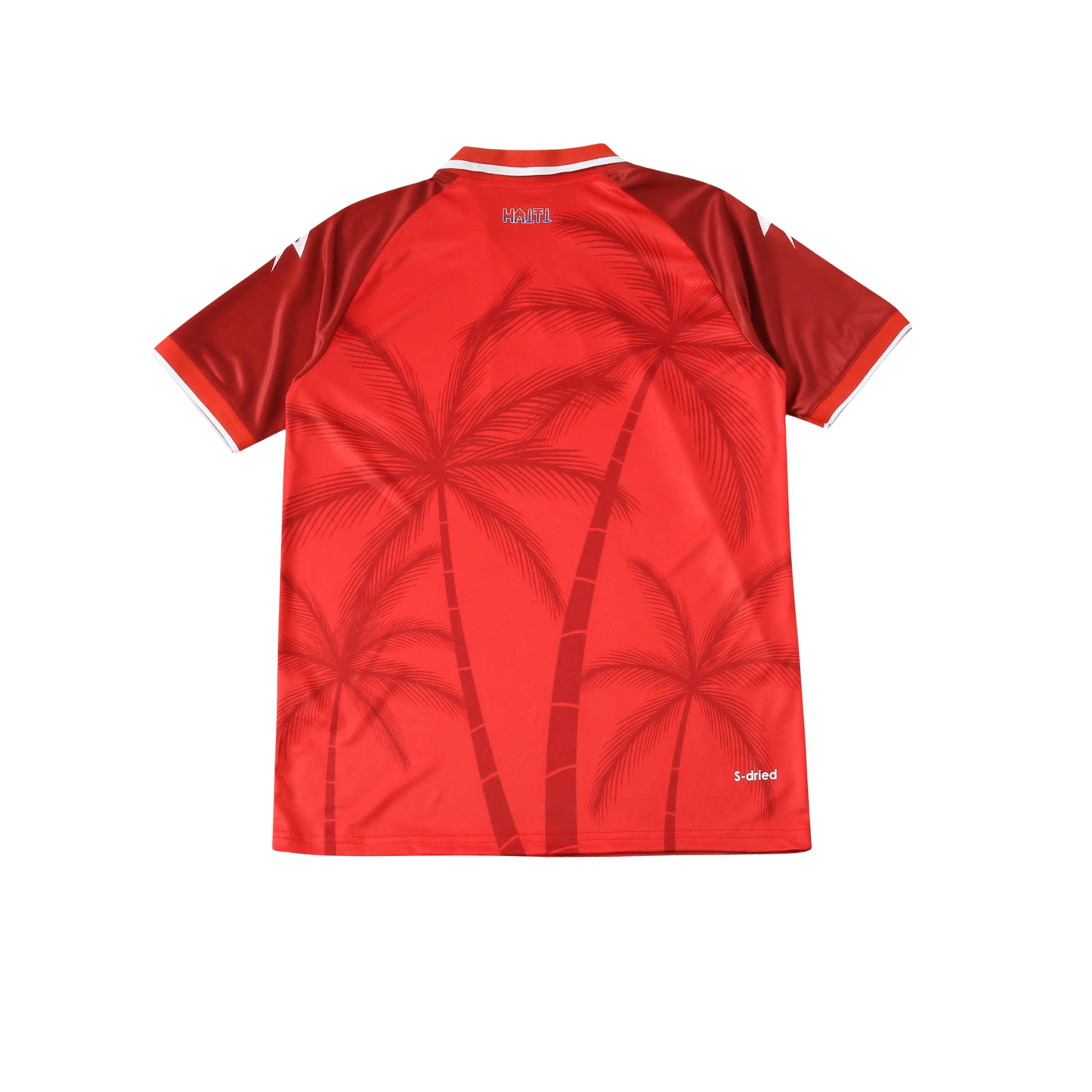 Haiti 2026/2027 Fan Version