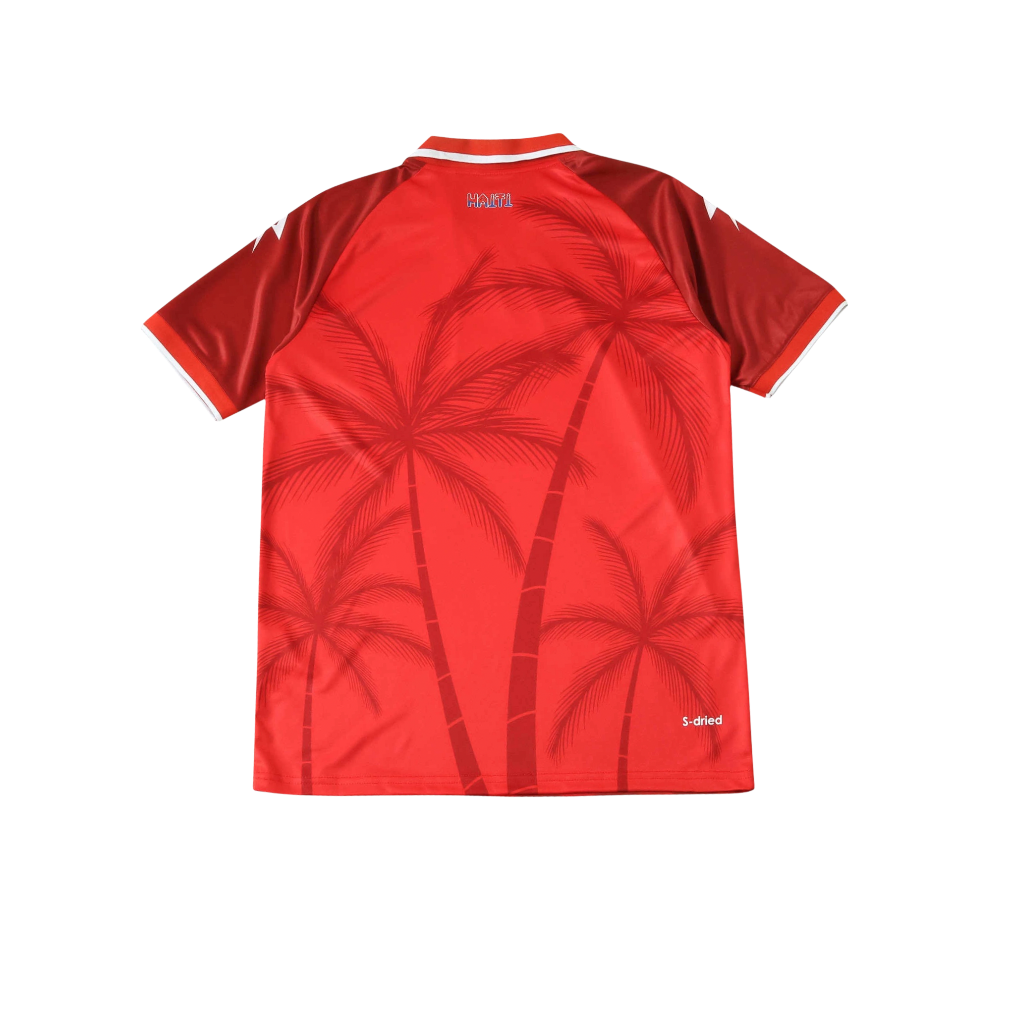 Haiti 2026/2027 Fan Version