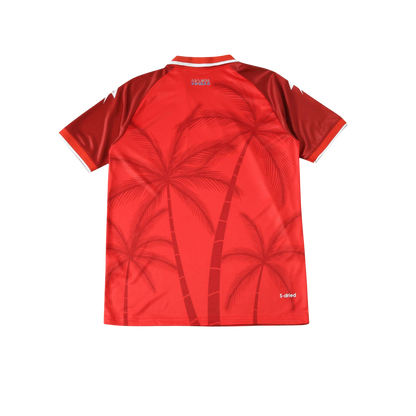 Haiti 2026/2027 Fan Version
