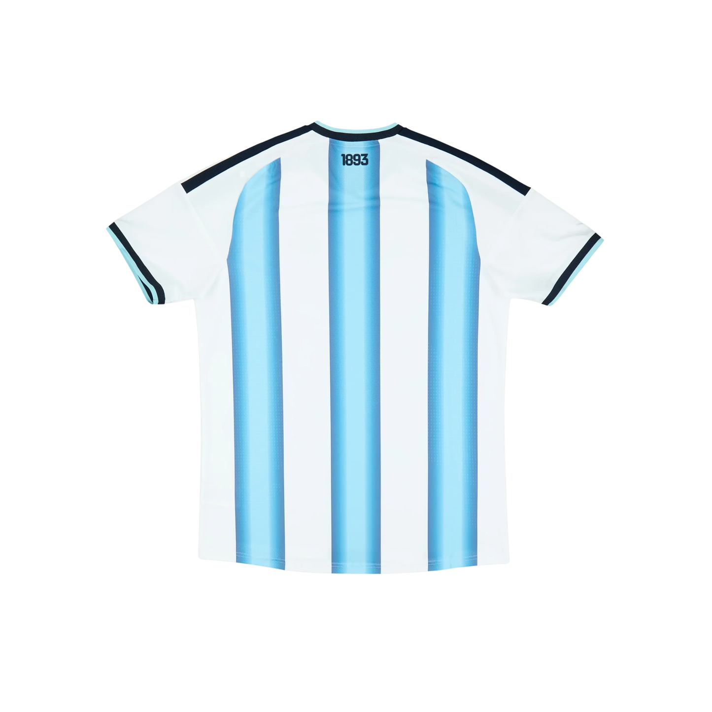 Argentina 2026/2027 Player Version