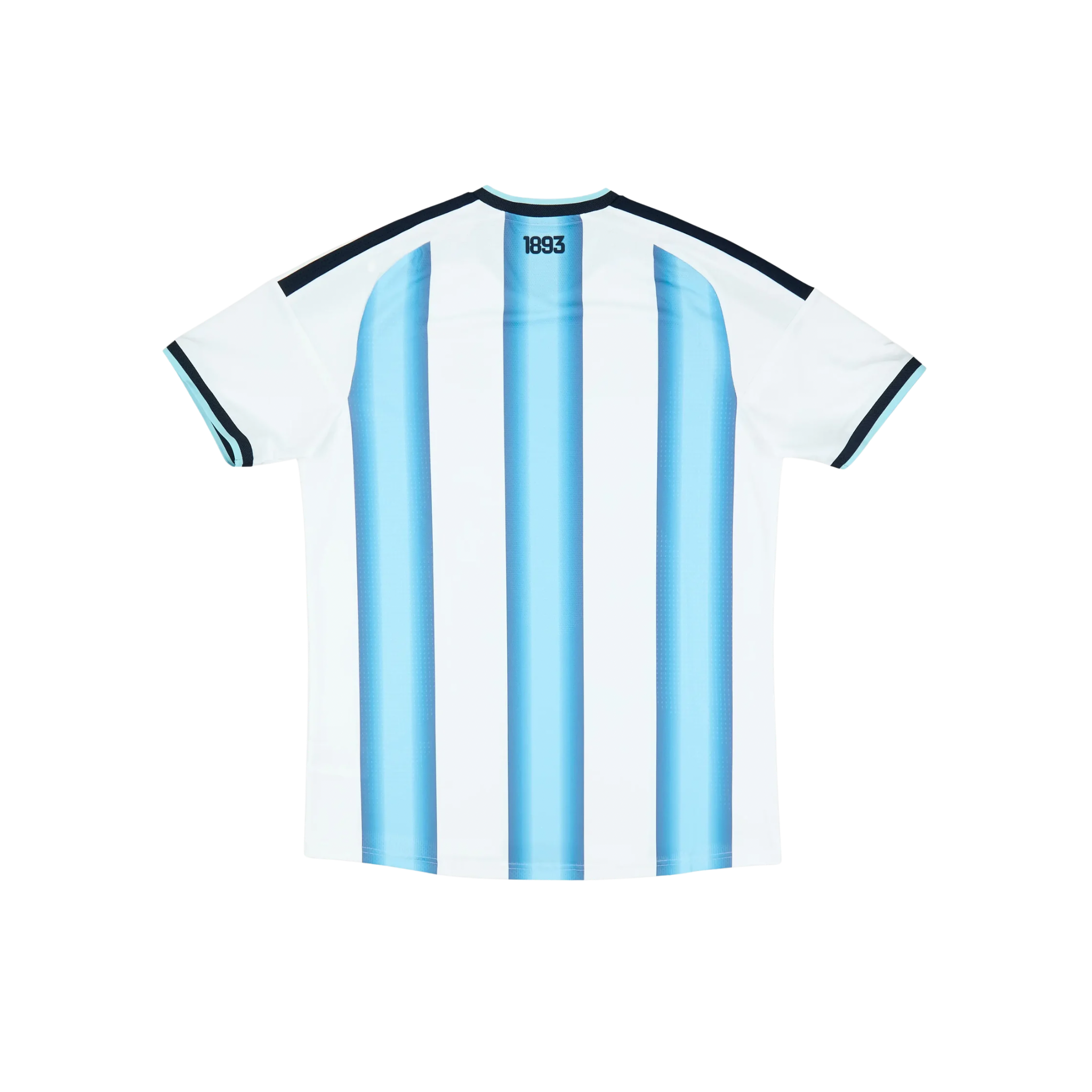 Argentina 2026/2027 Player Version