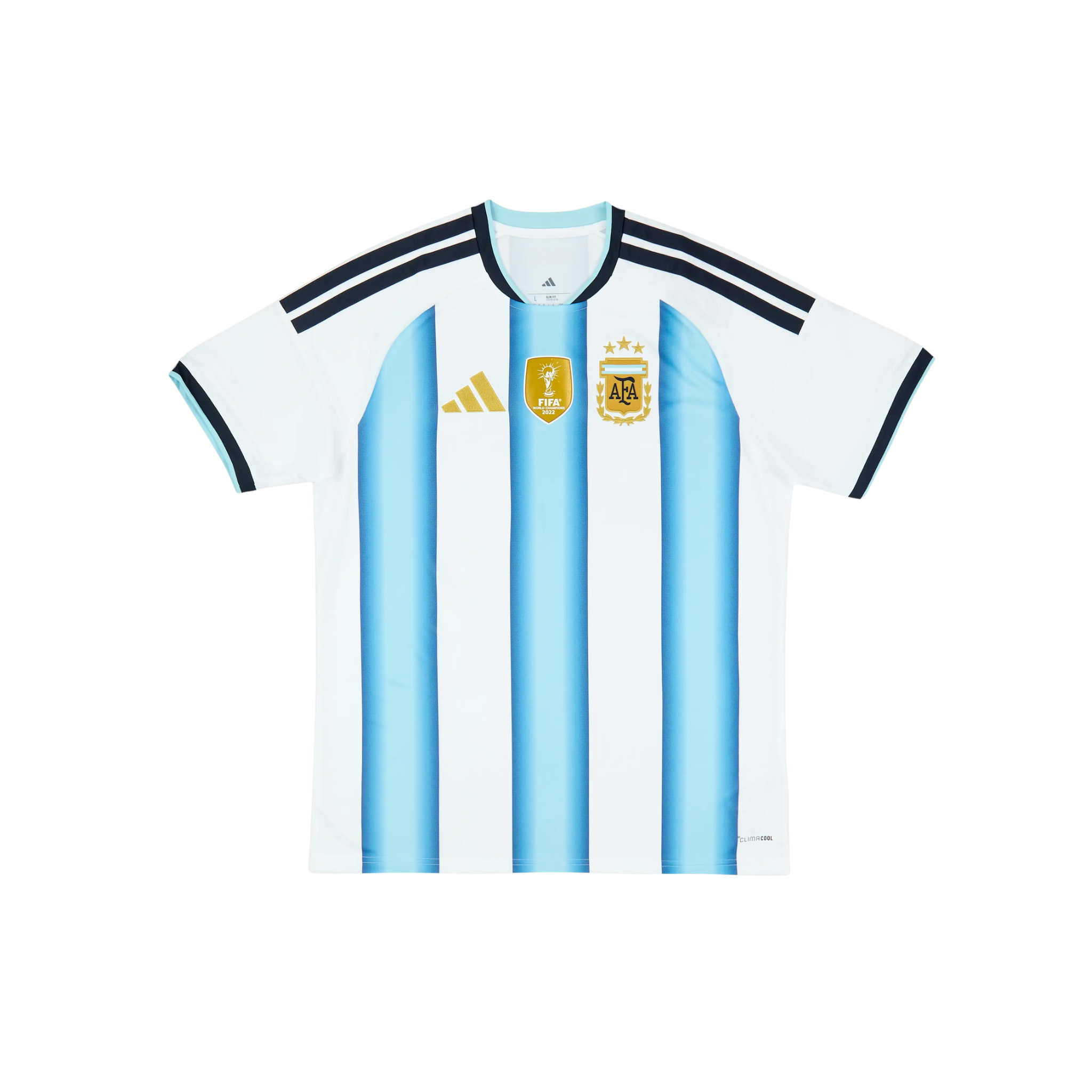 Argentina 2026/2027 Fan Version