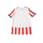 Paraguay 2026/2027 Fan Version