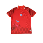 Haiti 2026/2027 Fan Version