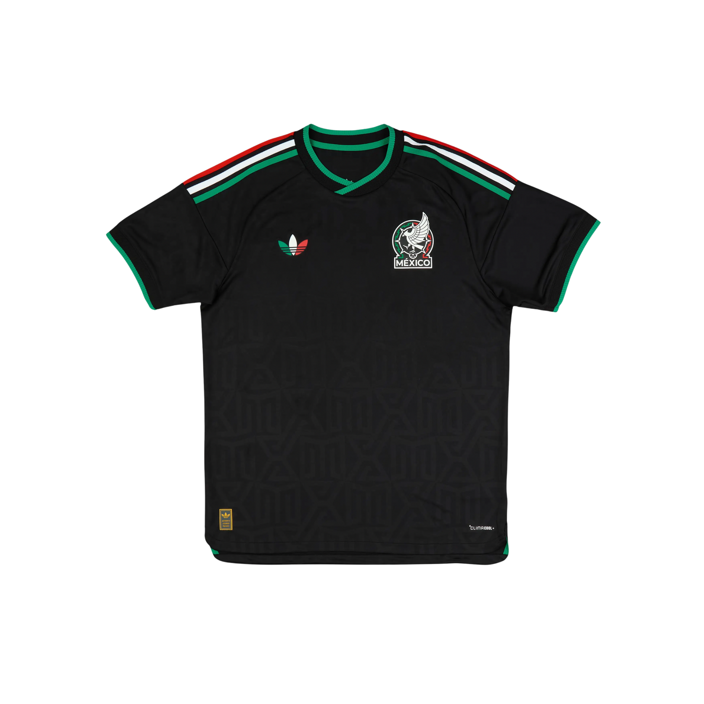Mexico 2026/2027 Player Version