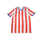 Paraguay 2026/2027 Fan Version