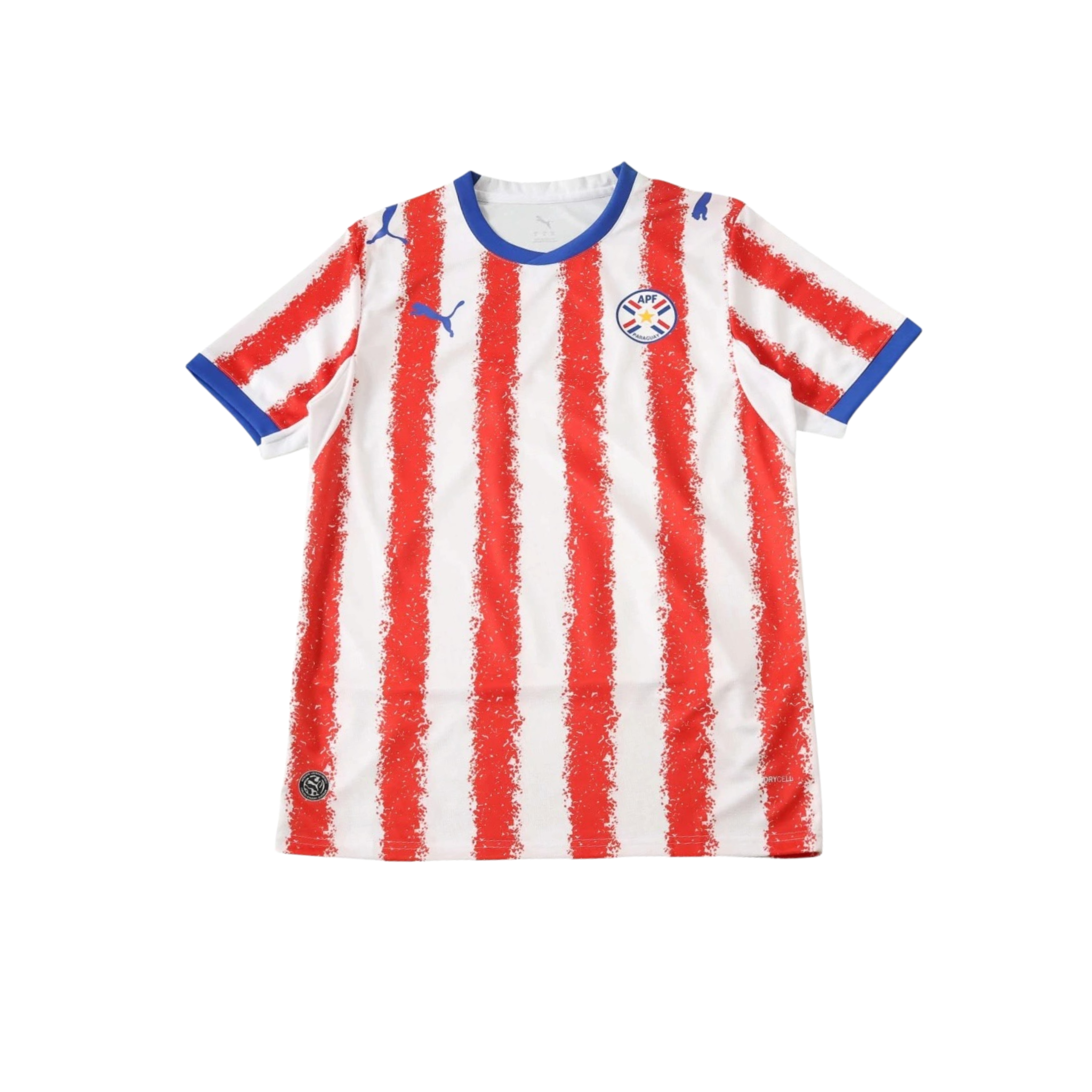 Paraguay 2026/2027 Fan Version