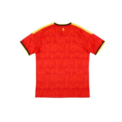 Belgium 2026/2027 Fan Version