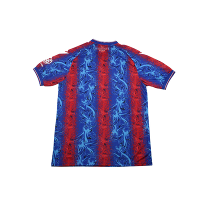Crystal Palace 24/25 Shirt