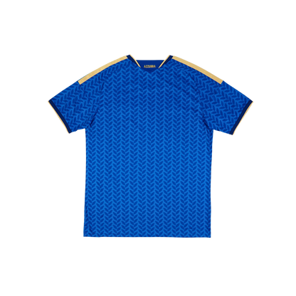 Italy 2026/2027 Fan Version
