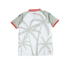 Haiti 2026/2027 Fan Version