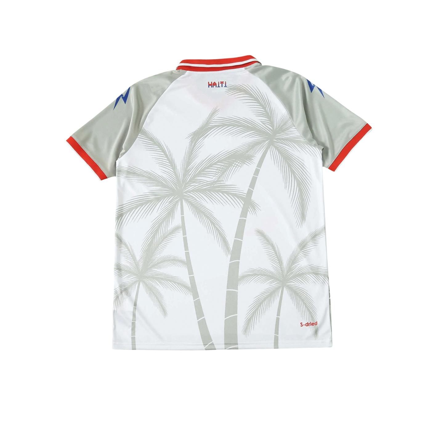 Haiti 2026/2027 Fan Version
