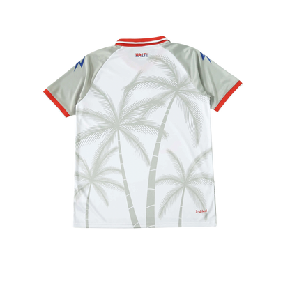 Haiti 2026/2027 Fan Version