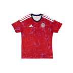 Costa Rica 2026/2027 Fan Version