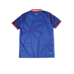 Haiti 2026/2027 Fan Version