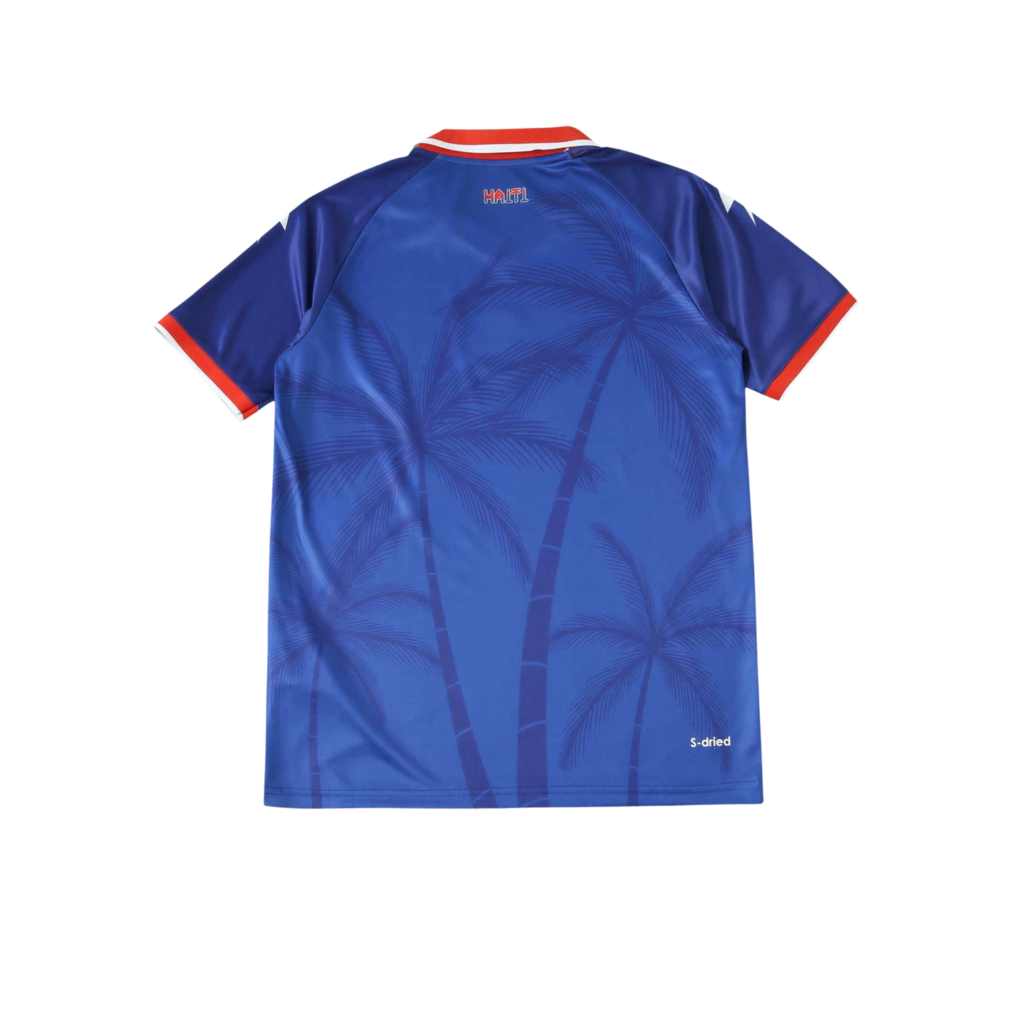 Haiti 2026/2027 Fan Version