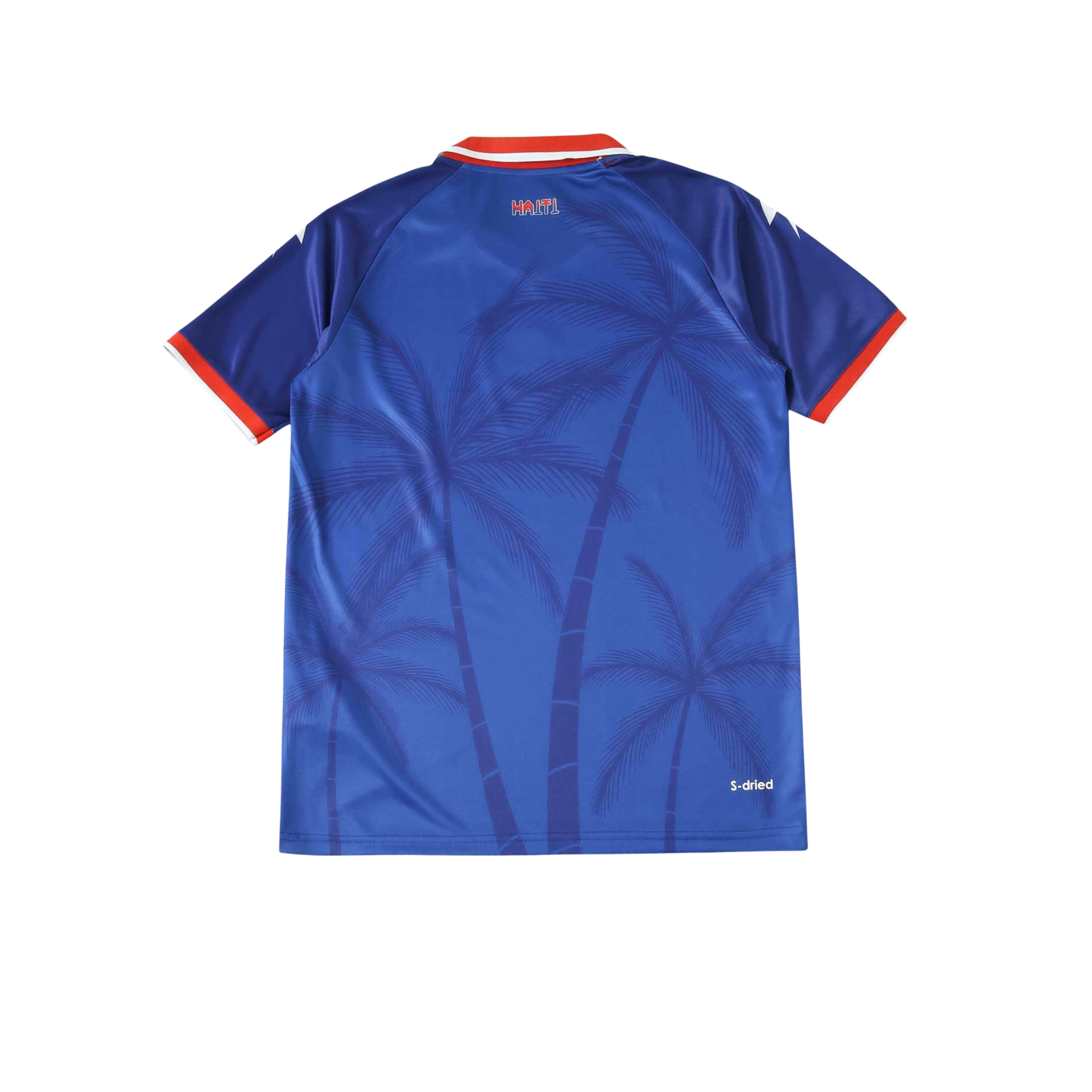 Haiti 2026/2027 Fan Version