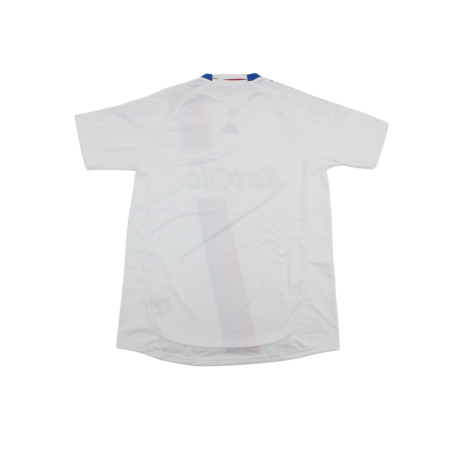 Olympique Lyonnais 10/11