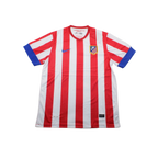 Atlético de Madrid 12/13
