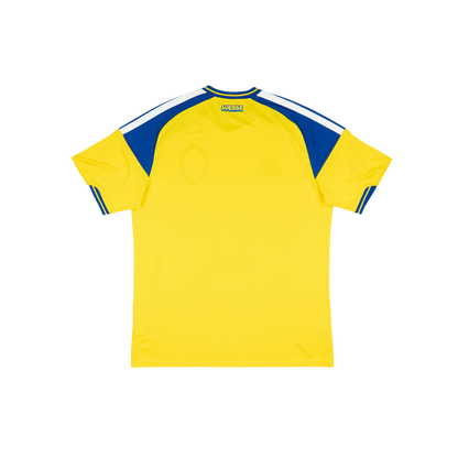 Sweden 2026/2027 Fan Version