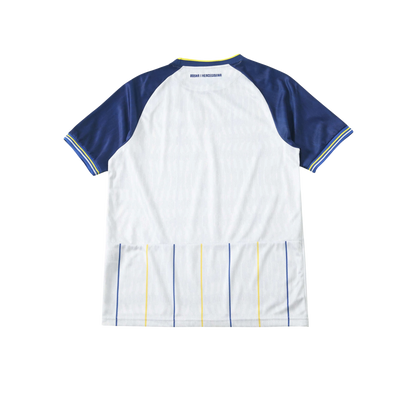 Bosnia and Herzegovina 2026/2027 Fan Version