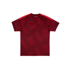 Venezuela 2026/2027 Fan Version
