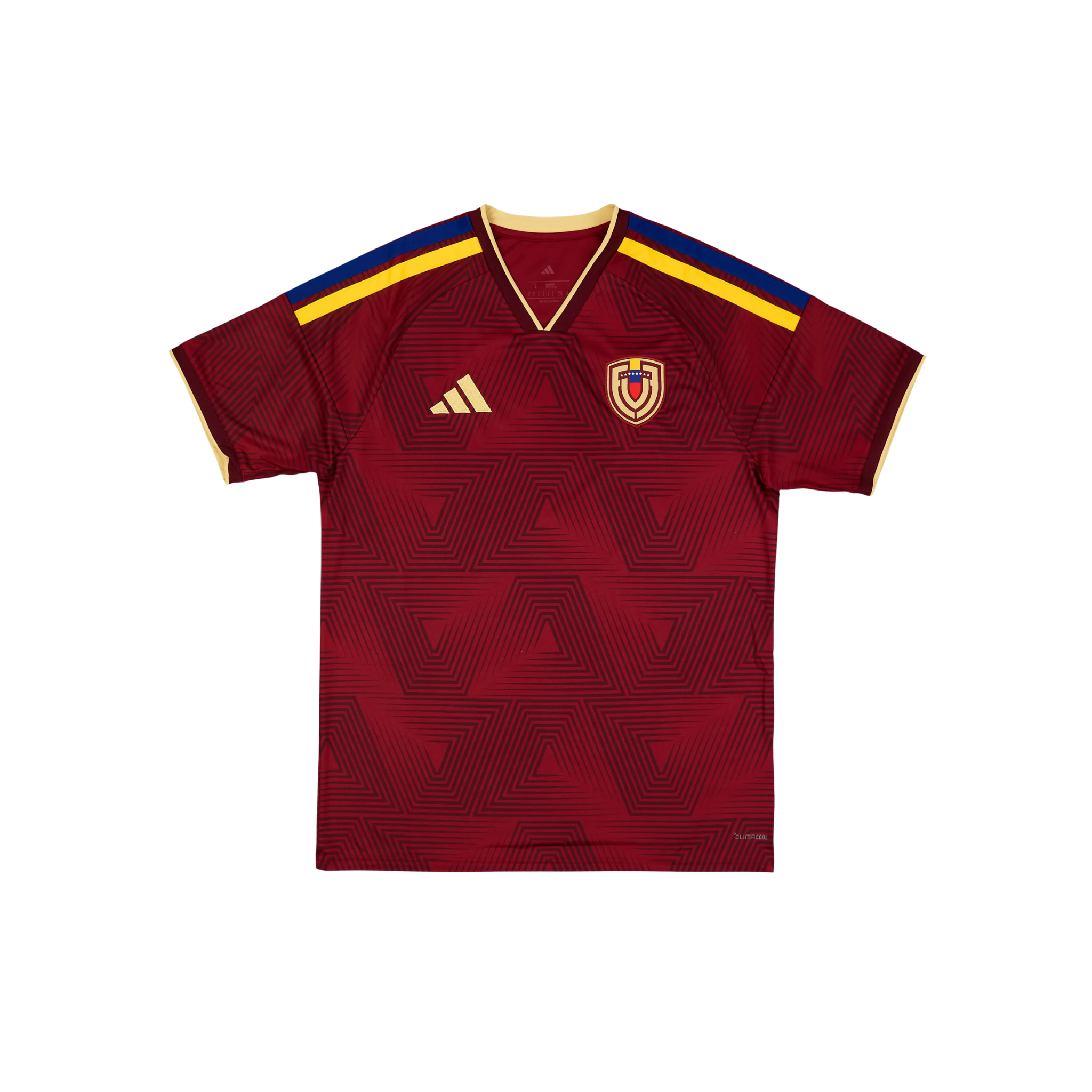 Venezuela 2026/2027 Fan Version