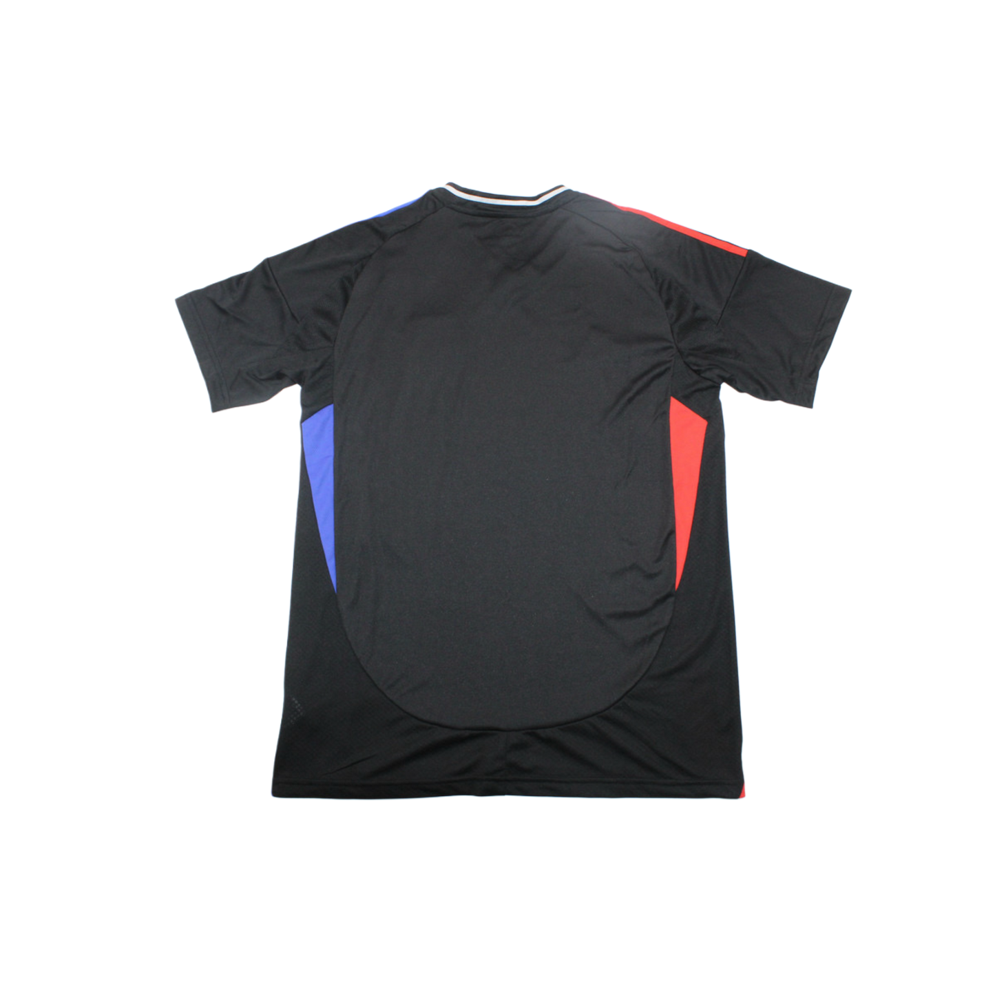 Olympique Lyon 24/25 Shirt