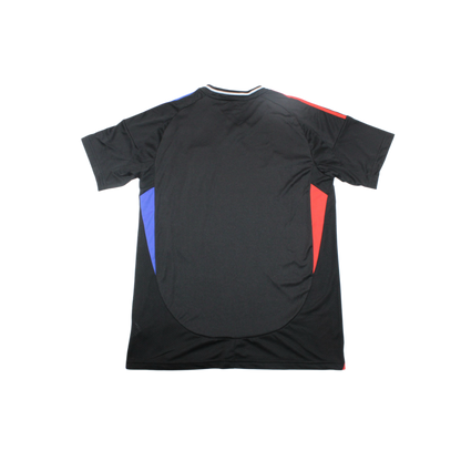Olympique Lyon 24/25 Shirt