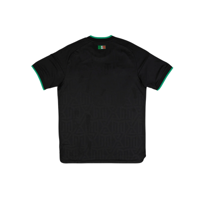 Mexico 2026/2027 Player Version