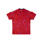 Costa Rica 2026/2027 Fan Version