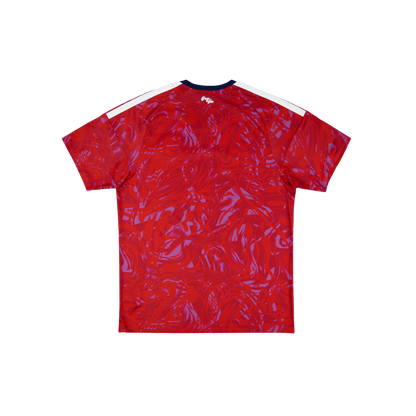 Costa Rica 2026/2027 Fan Version