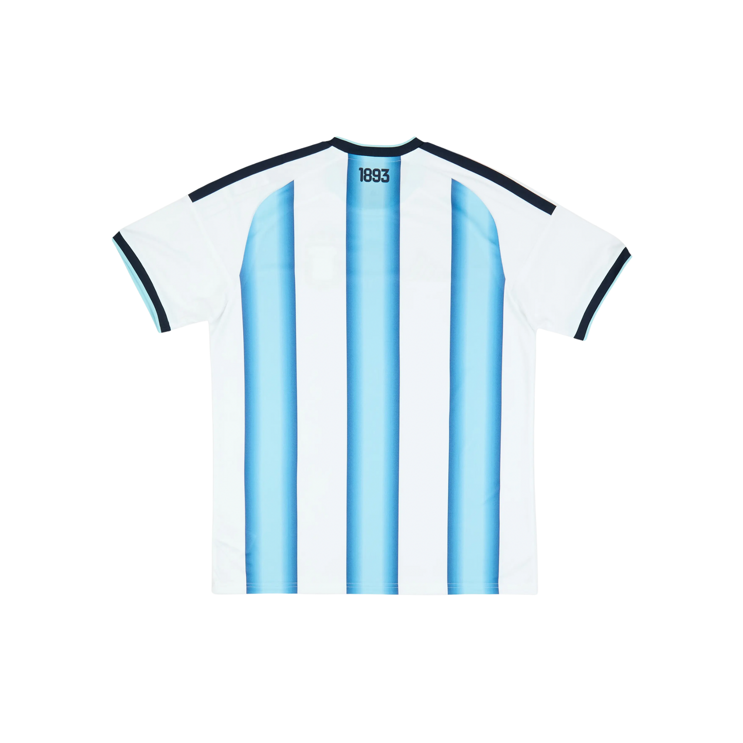 Argentina 2026/2027 Fan Version