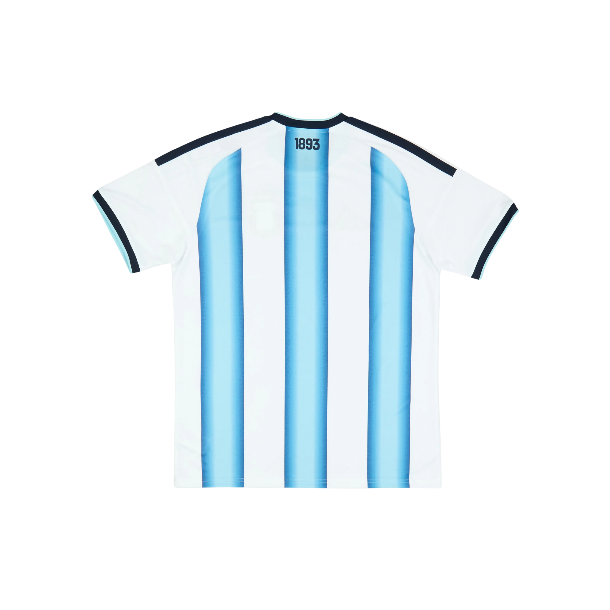 Argentina 2026/2027 Fan Version