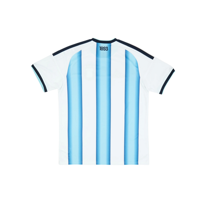Argentina 2026/2027 Fan Version