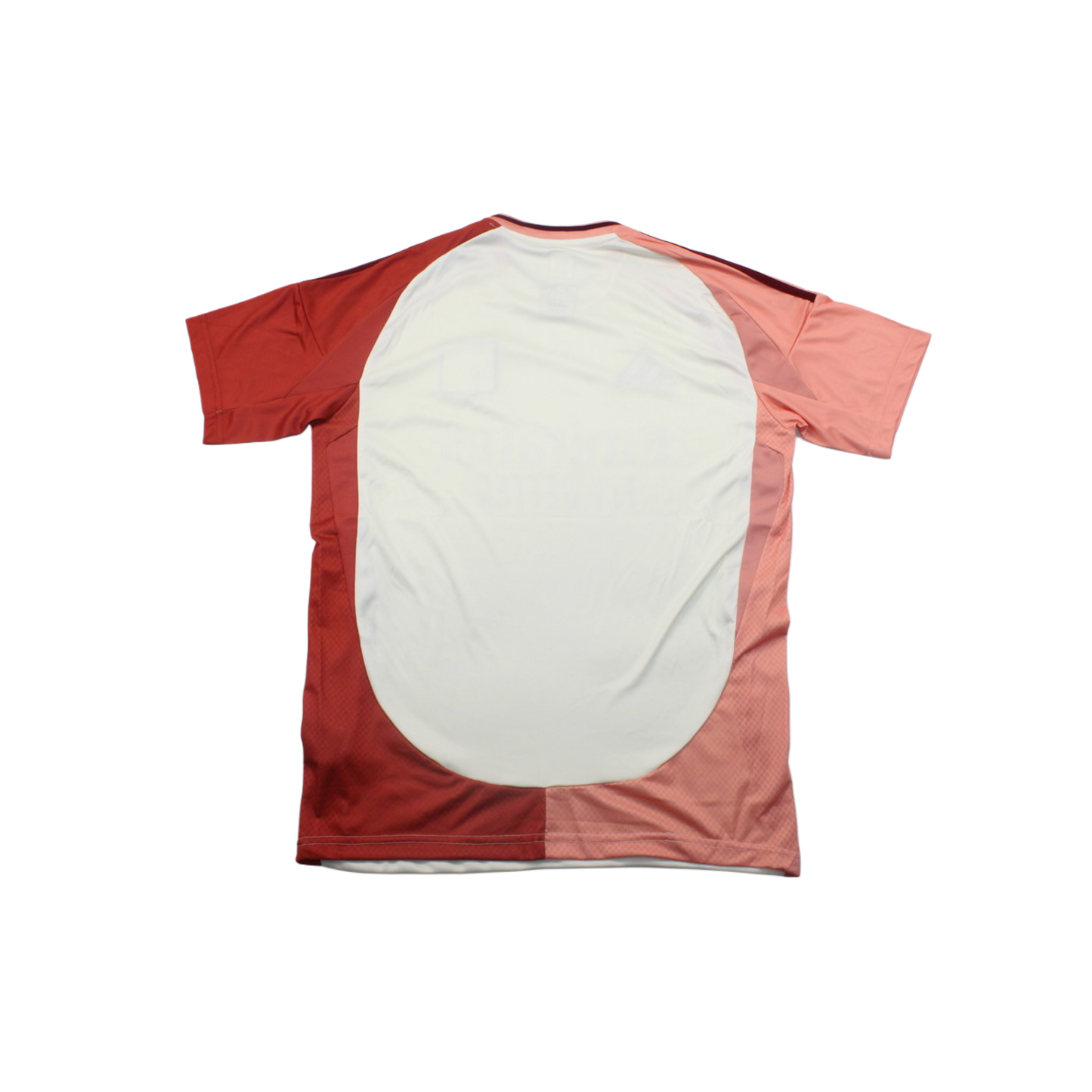 Olympique Lyon 24/25 Shirt