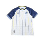 Bosnia and Herzegovina 2026/2027 Fan Version