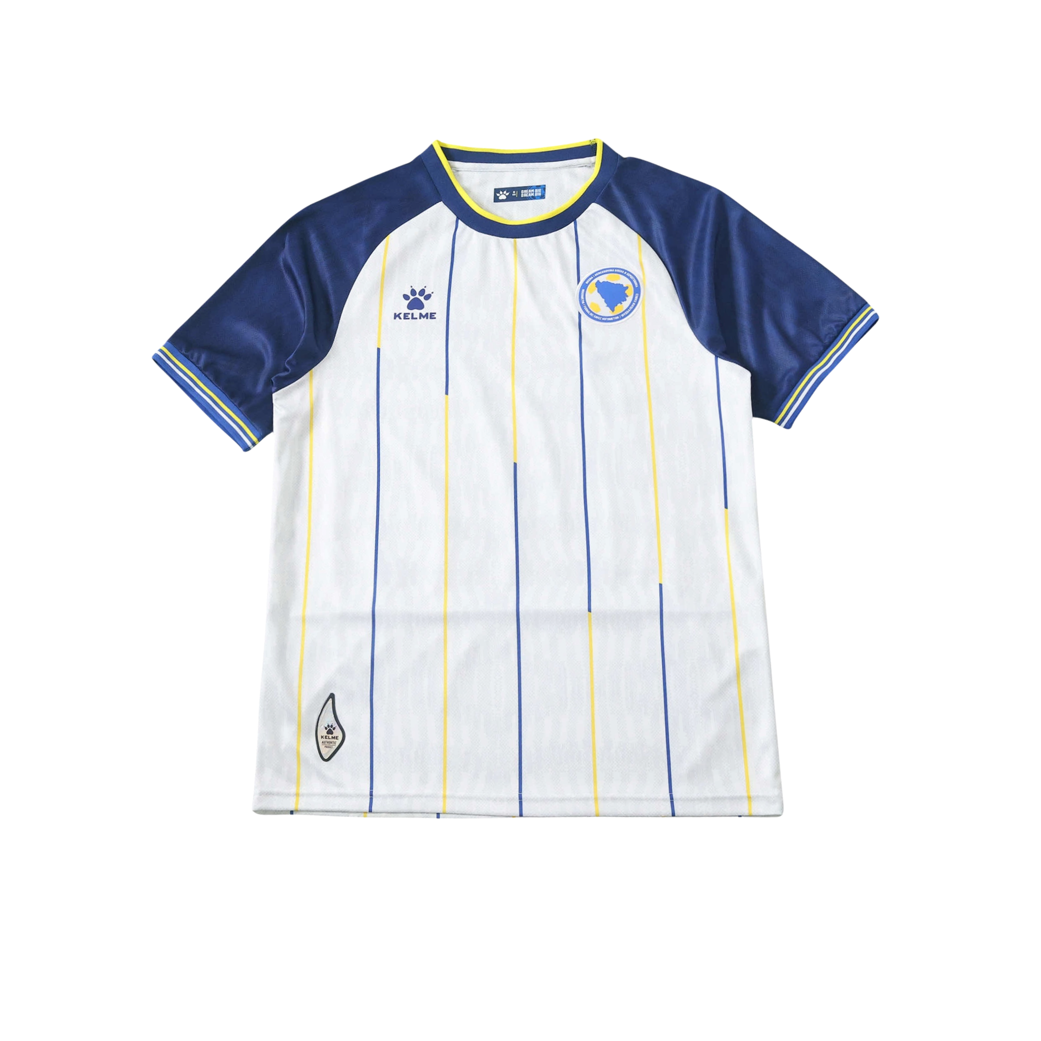 Bosnia and Herzegovina 2026/2027 Fan Version