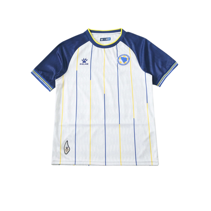 Bosnia and Herzegovina 2026/2027 Fan Version