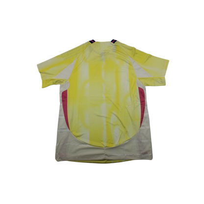 Juventus 24/25 Shirt