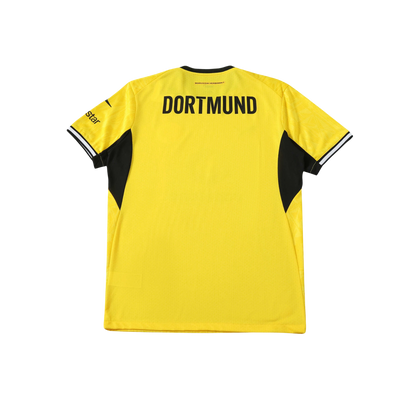 Dortmund 26/27 Player Version