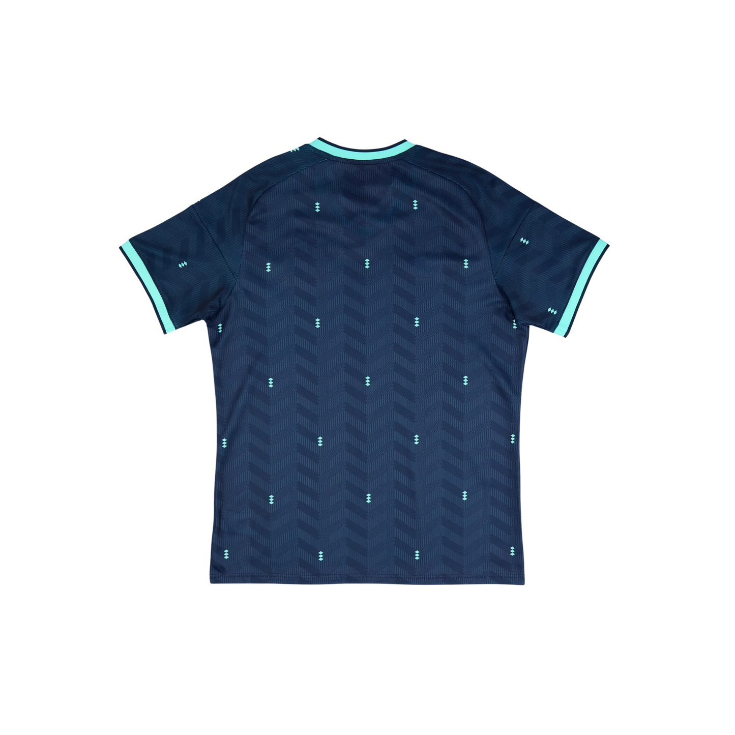Germany 2026/2027 Fan Version