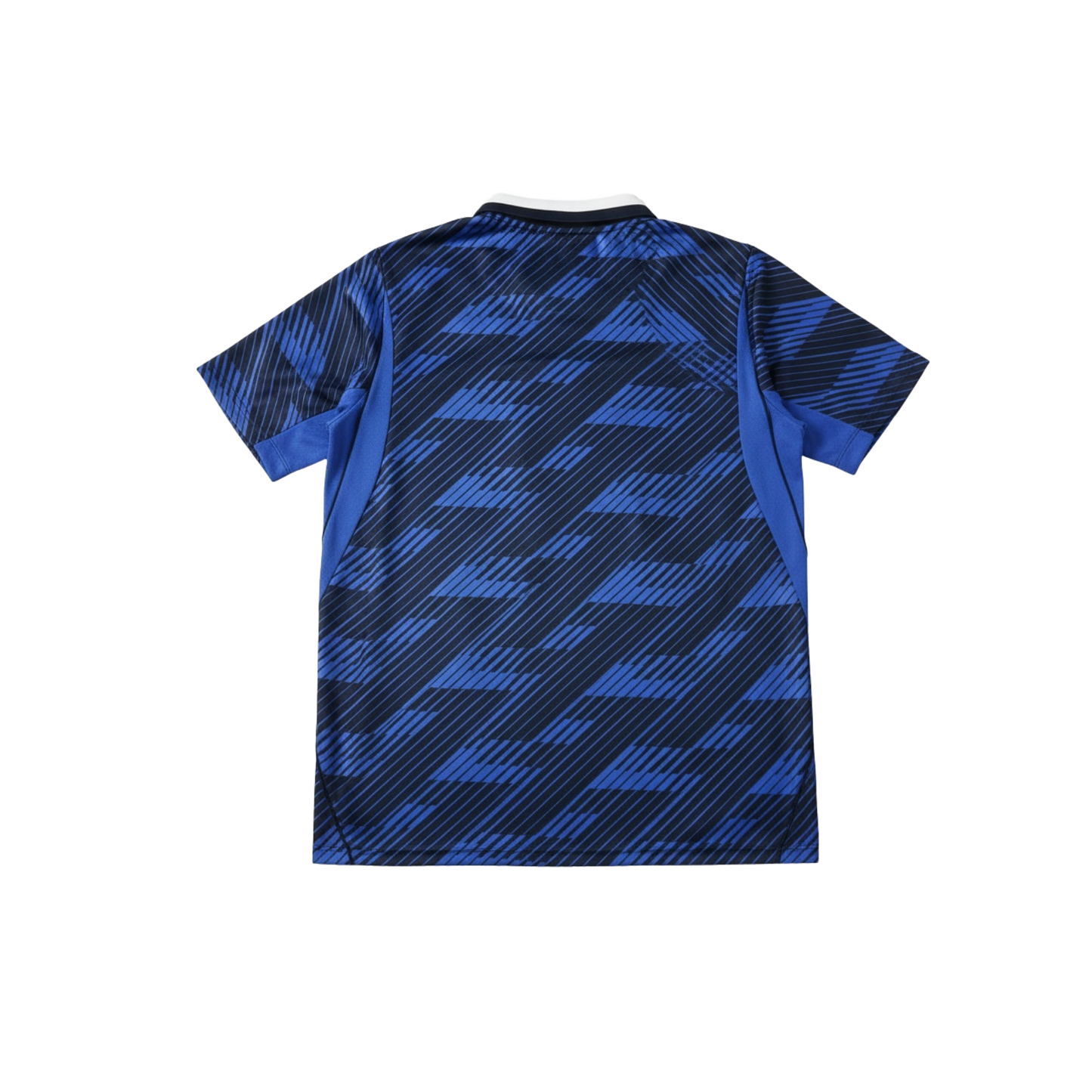 France 2026/2027 Fan Version